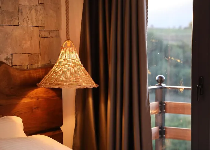 Sofra Kolonjare 酒店 4*